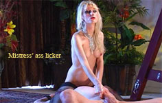 Mistress ass licker